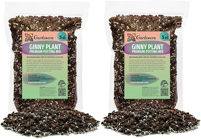 Monstera Ginny Plant Soil Mix