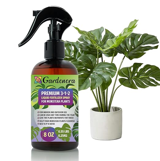 MONSTERA