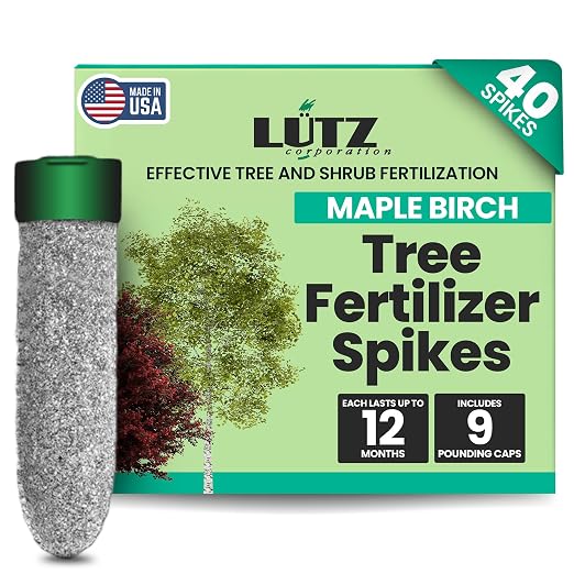 Maple-Birch