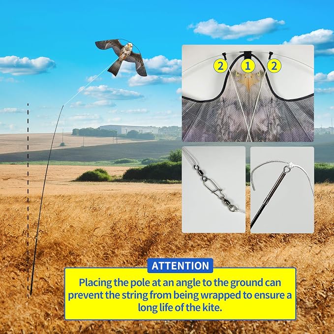 __DEFAULT__