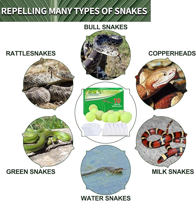 Yellow-snake