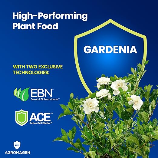 Gardenia