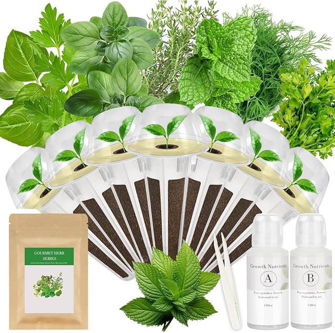 Herb
