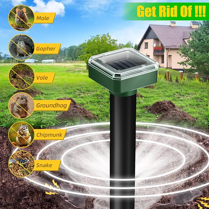 __DEFAULT__