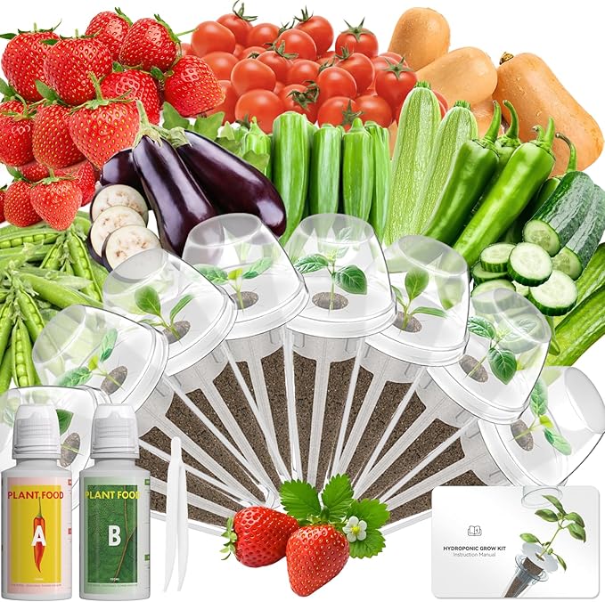 Fresh Fruit