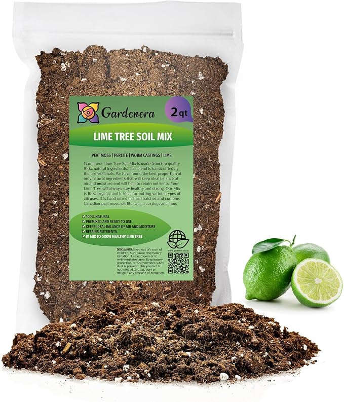LIME TREE