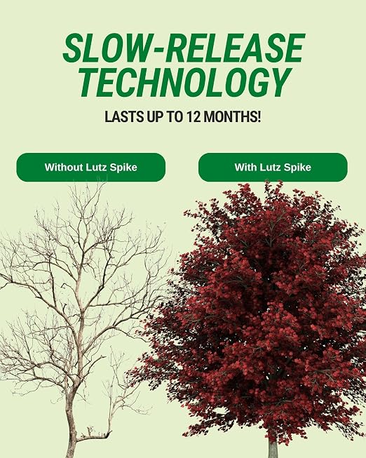 Maple-Birch