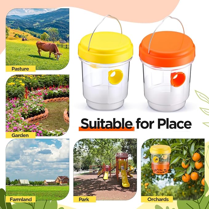 Yellow, Green, Orange