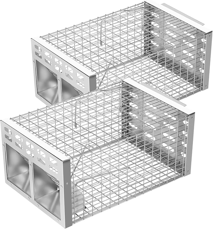 Silver (2-Pack)
