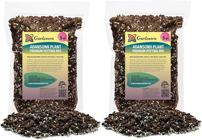Monstera Adansonii Potting Mix