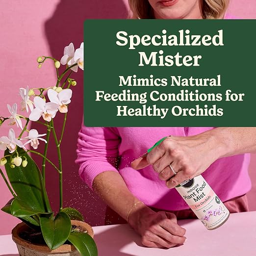 Orchid Mist