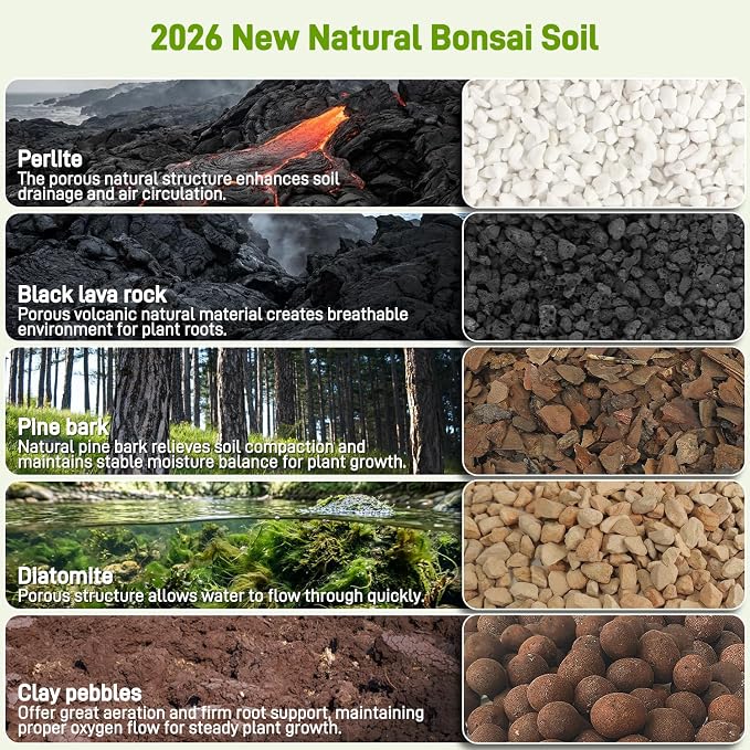 Bonsai Soil