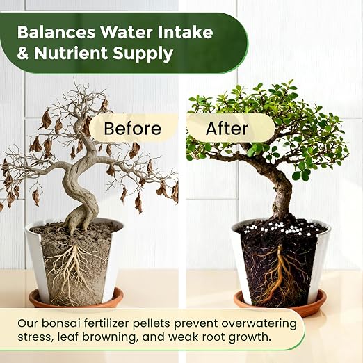 Bonsai Fertilizer (18-6-8 Pellets)