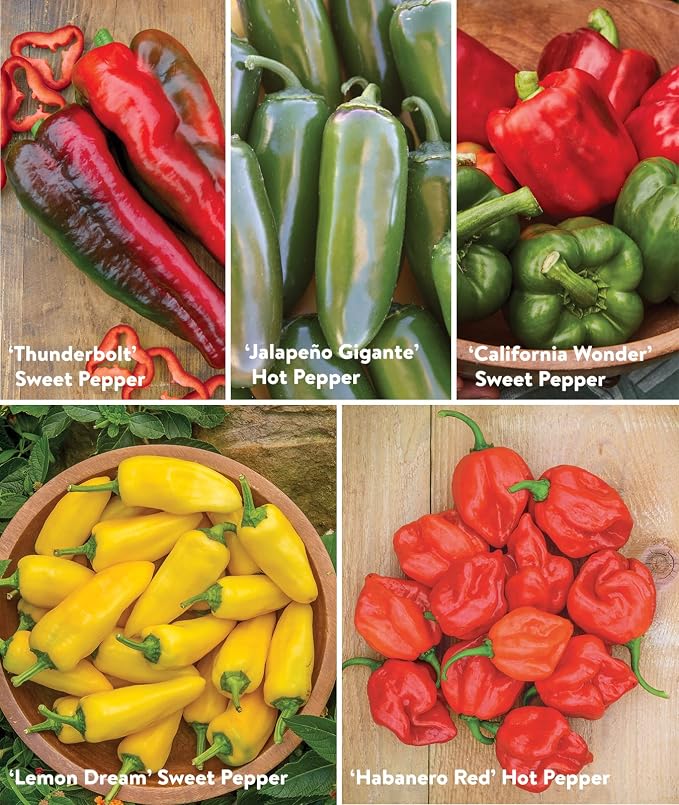 Best 10 Pepper Collection
