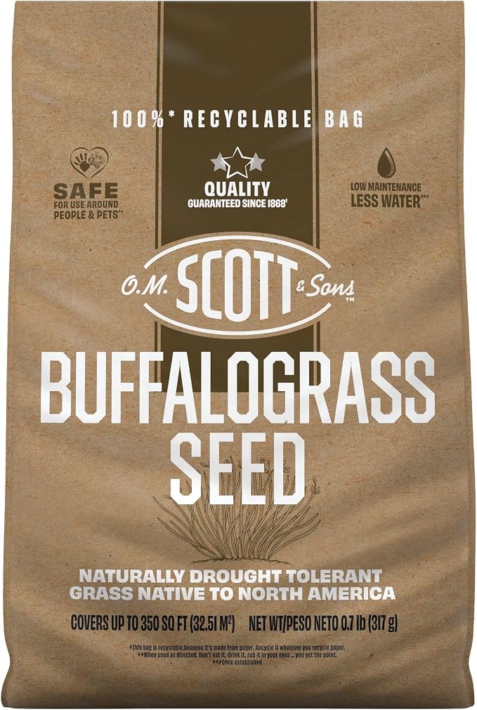 Buffalograss