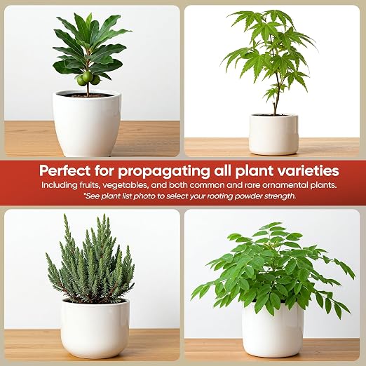 D) #16 For Hard to Root Woody Plants - 1 Lb