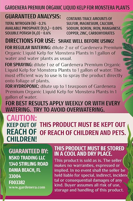 Monstera Plants