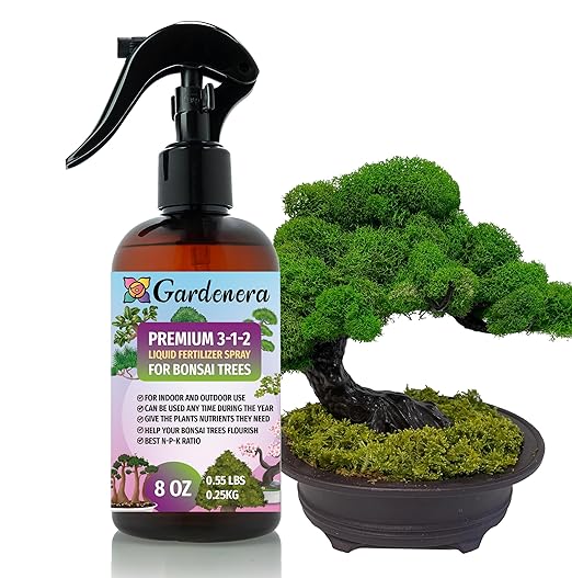 BONSAI