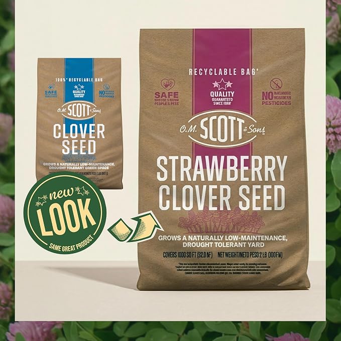 Strawberry Clover