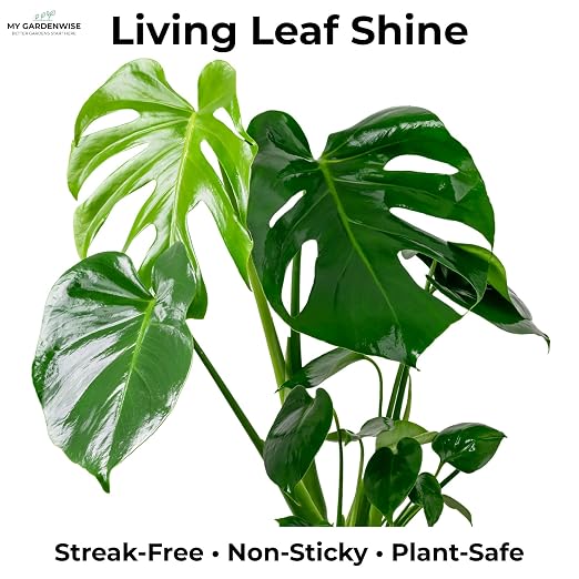 Leaf Shine