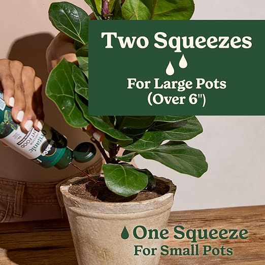 Organic Houseplant