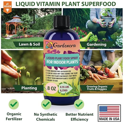 JADE PLANT