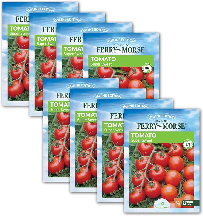 Tomato Supersweet 100 Hybrid Seed Bundle - 8 Pack
