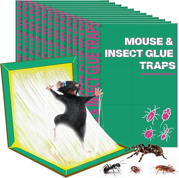 Teal Green-12pack