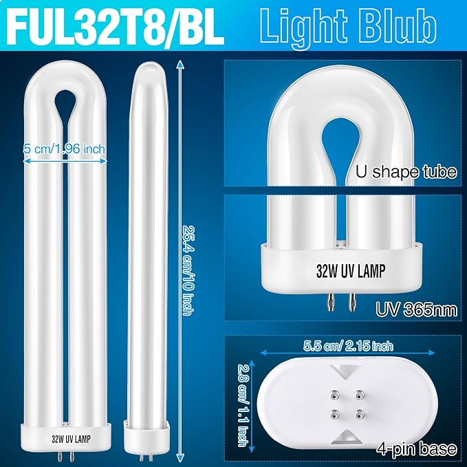 Light