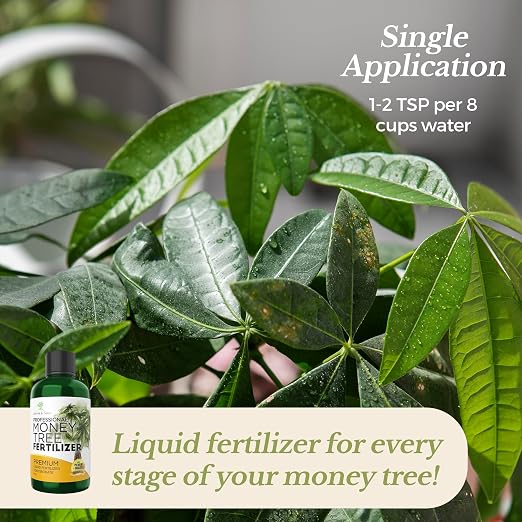 Money Tree