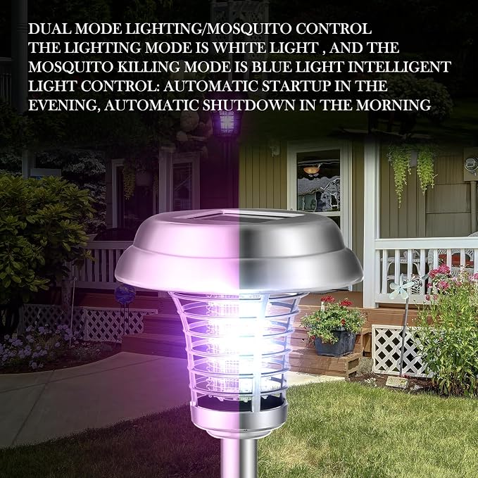 Silver Exterior, Purple, White Light