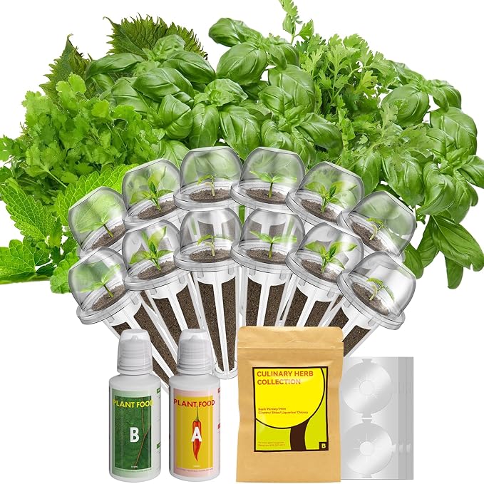 Herb