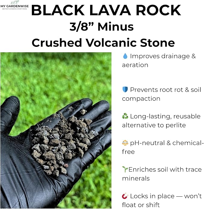 Black Lava Rocks