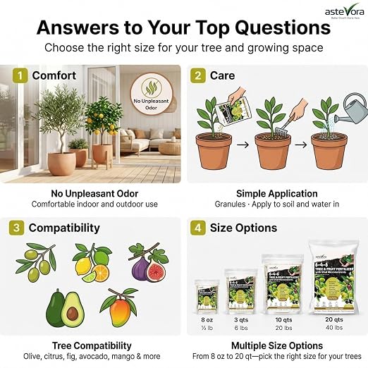 Olive Tree Fertilizer