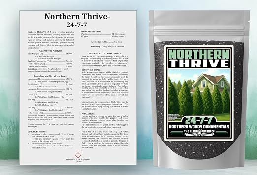Northern Thrive