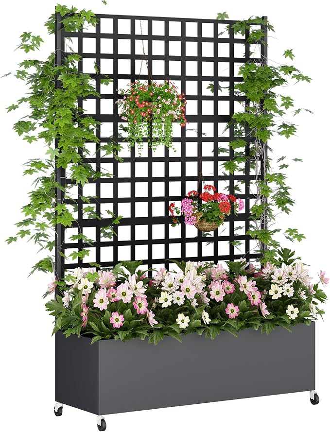 Black Lattice