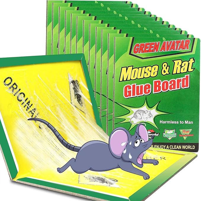 green-12pack