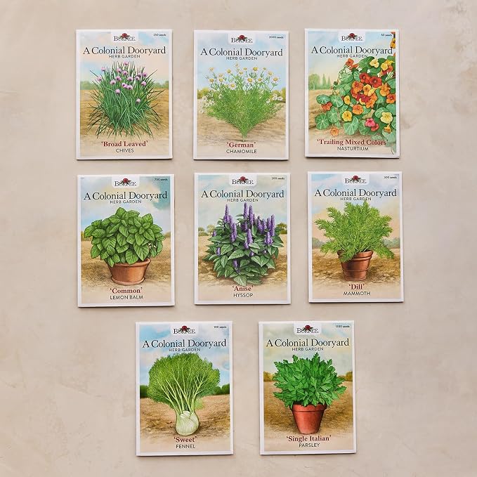 A Colonial Dooryard Herb Garden