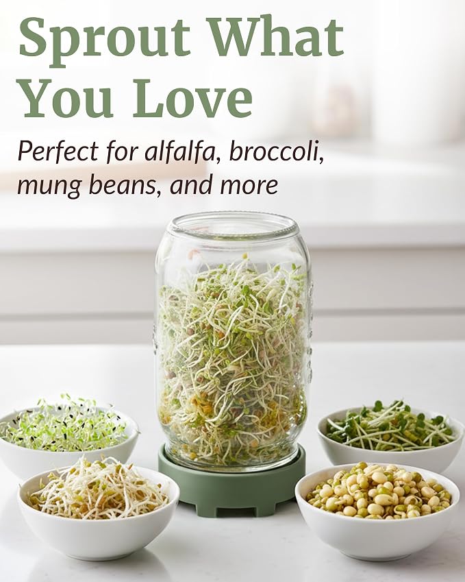 Sage Green Lids & Jars