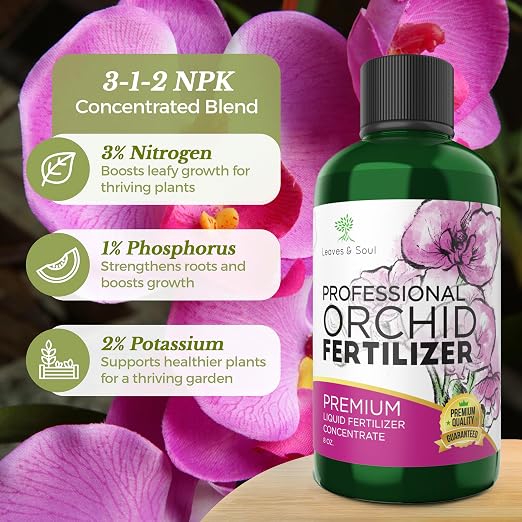 Indoor Orchid