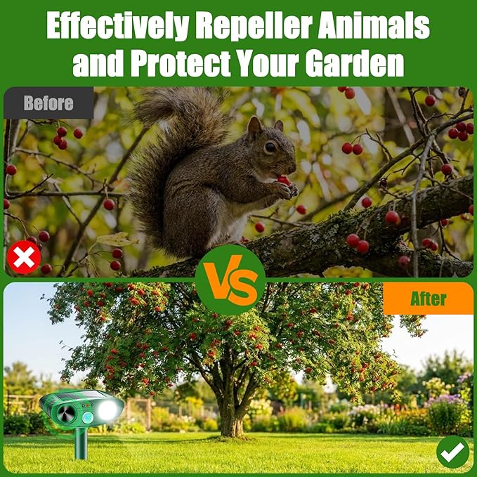 __DEFAULT__