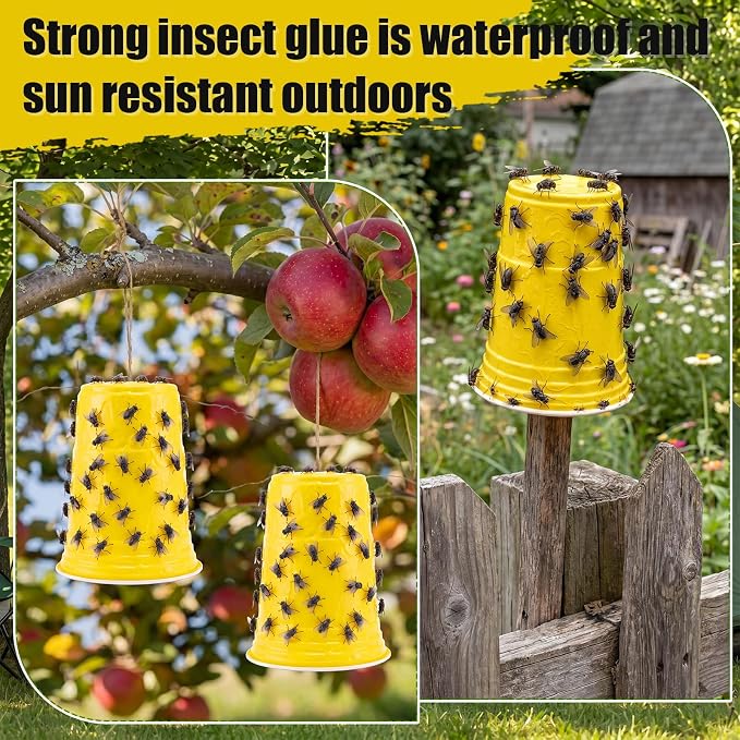 Yellow Cup