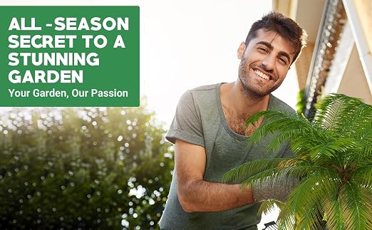 8-4-8 Palm Tree Fertilizer