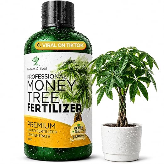 Money Tree