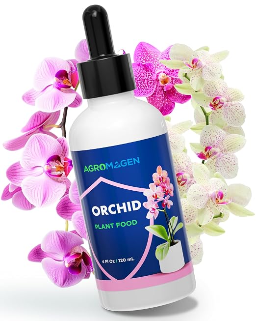 Orchid