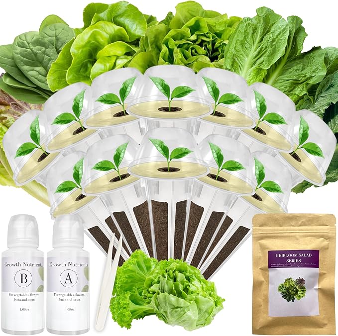 Salad