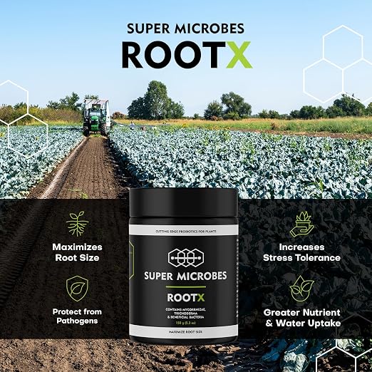 ROOT X