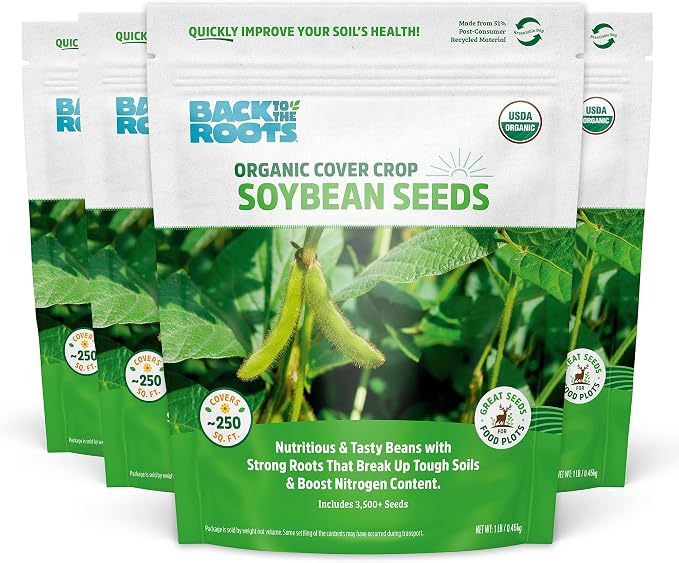 Soybean