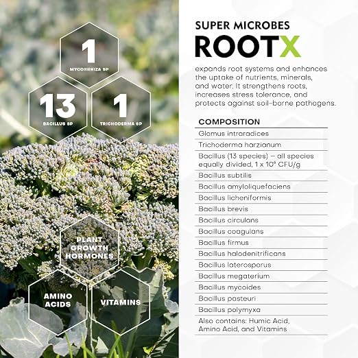 ROOT X