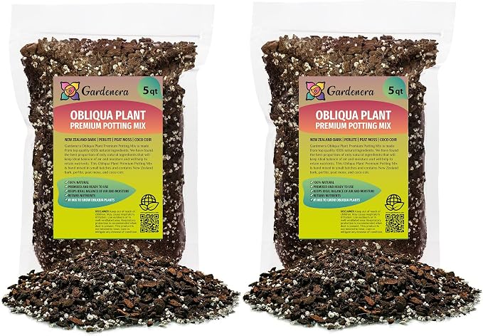 Monstera Obliqua Soil Mix